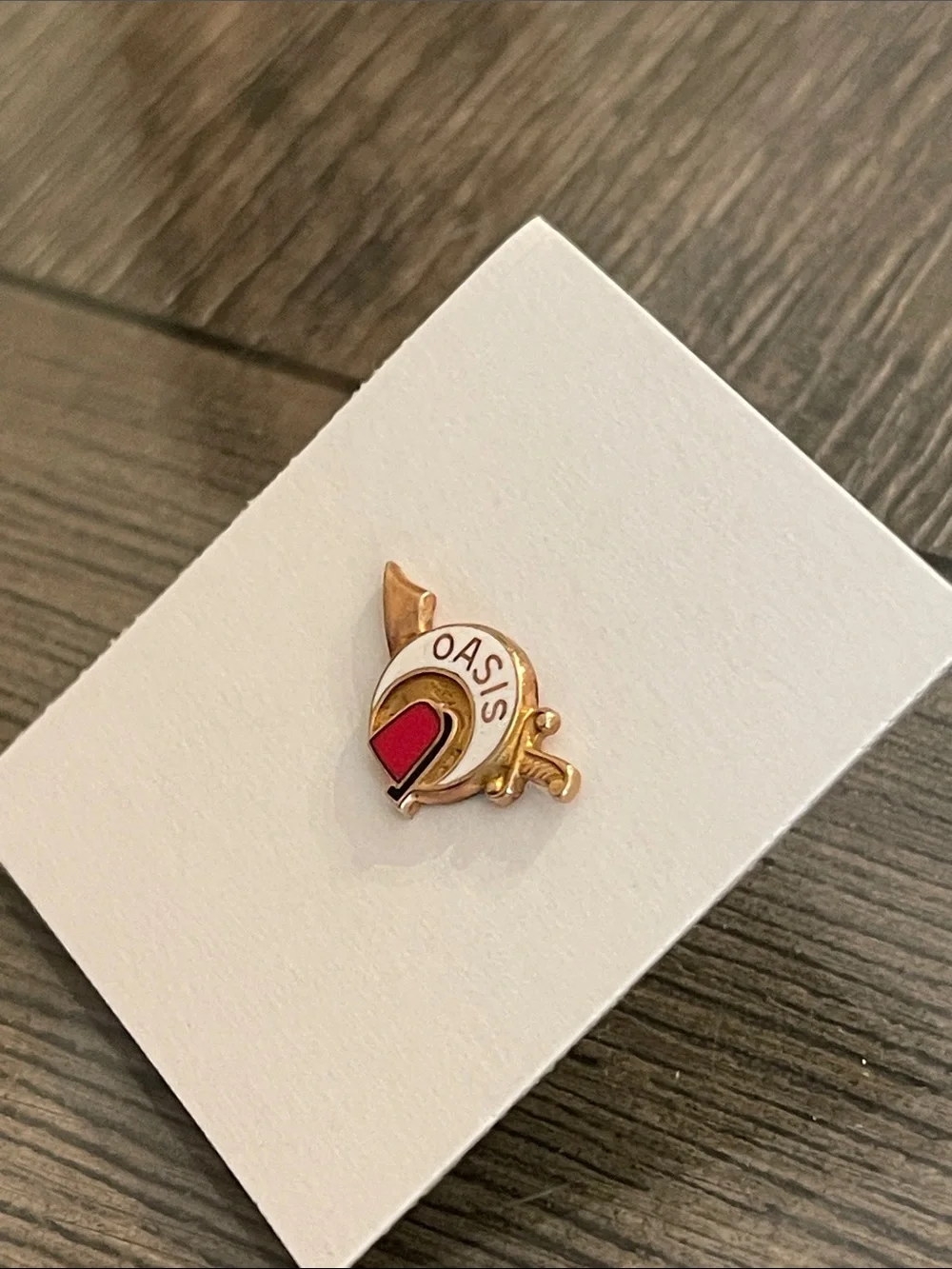 Vintage Masonic Shriners OASIS Gold-tone & Enamel Lapel Pin